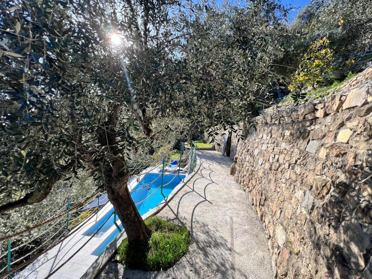 Villa Di Campagna Con Vista Mare 5 Camere Da Letto Pampara Kültér fotó